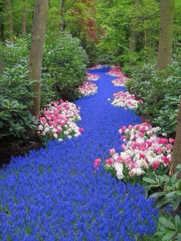 oddly-satisfying-pictures-19.jpg