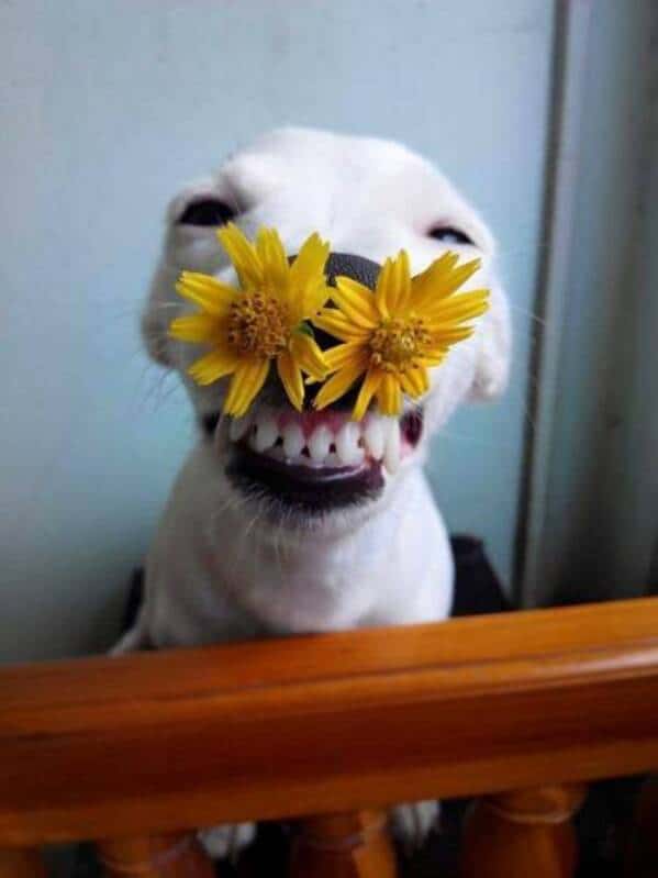 funny-pictures-5-13-25-48.jpg