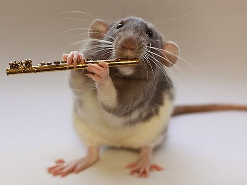 03-The-Flute-Player-Musical-Dumbo-Rat-Ellen-Van-Deelen-www-designstack-co.jpg