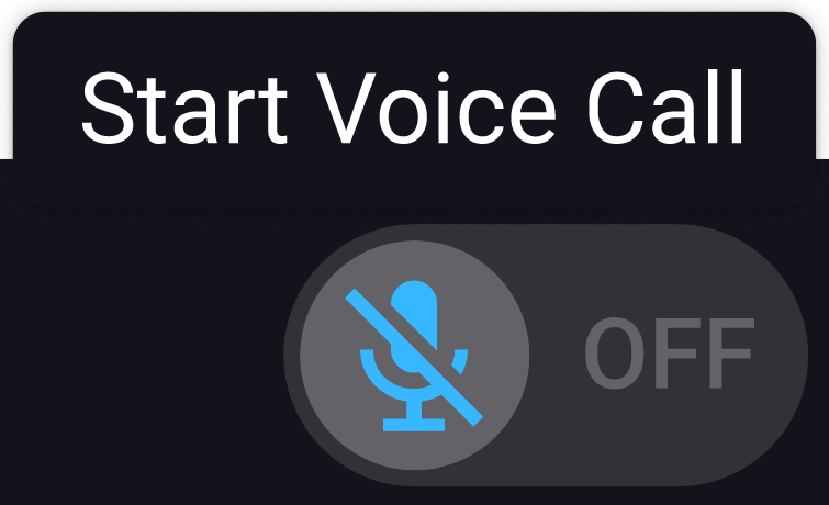 start-voice-call-button.png