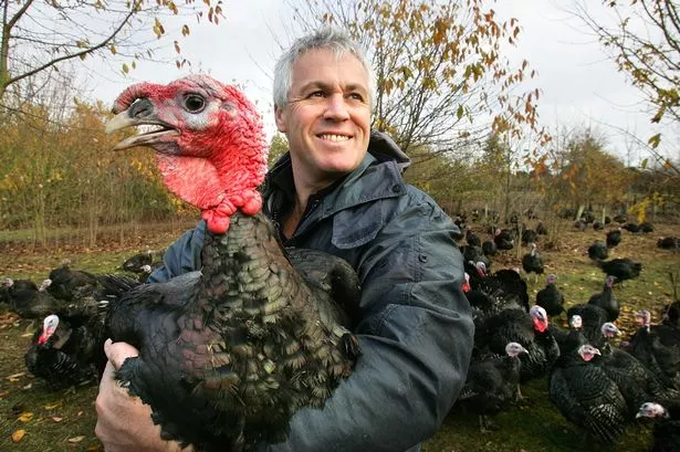 0_Farmer-Prepares-His-Turkeys-For-Christmas.jpg