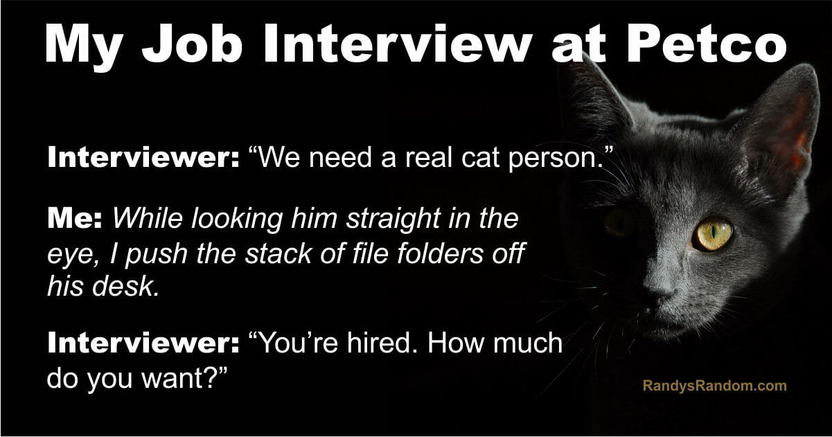 petco-job-interview.jpg