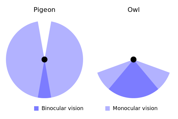 600px-Fieldofview-pigeon-owl.svg.png